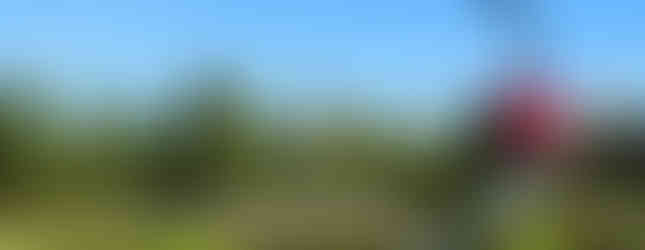 32. © Photo by Arthistory390 showing a large spoon sculpture in the middle of a lake in a park with a big cherry on top of the spoon