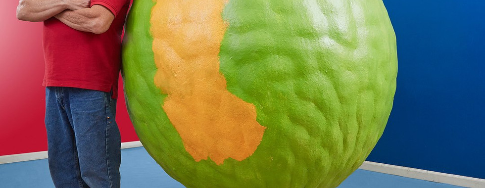 27. © Courtesy of guiness world records showing a man holding a paintbrush in a red tshirt leaning against a large ball of paint hanging from the ceiling