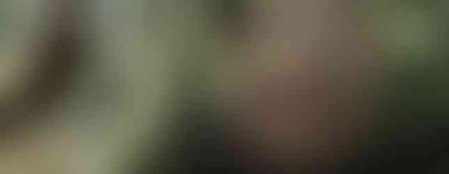 art installation above a british river made of golden coins in a sphere shape