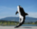 A ginormous pixelated black and white whale structure, set against the grassy pastoral land of Vancouver. The whale appears balanced by just its tale, a remarkable public art structural feat.