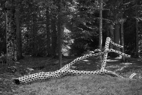 stuart ian frosts hand engraved wooden trunk sculpture located in a public exhibition space in trentino, italy