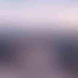 In this undated photo, green turtles nest on at the world’s largest green turtle rookery on Raine Island, a remote vegetated coral cay situated 620 kilometers (385 miles) northwest of Cairns, Australia. (Great Barrier Reef Foundation via AFP)