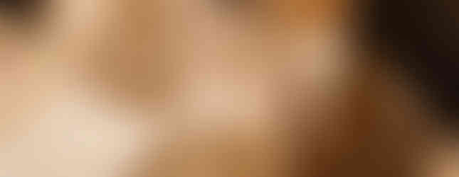 © Photo by Barbara Picci depicting 4 geometric egg style shaped large abstract contemporary art installation in the middle of desert x installation in alula made of camel hair