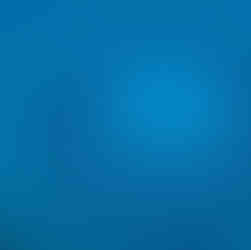 The white-spotted pufferfish (Torquigener albomaculosus) is known for its unique and complex courtship display. Males create large geometric circles in the sand to attract females for copulation.