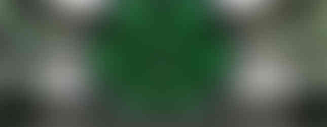 24. © Photo by Yann Caradec showing a huge circular green and black geometric metal art installation in the middle of a vintage european building with bright open glass ceiling inviting natural light