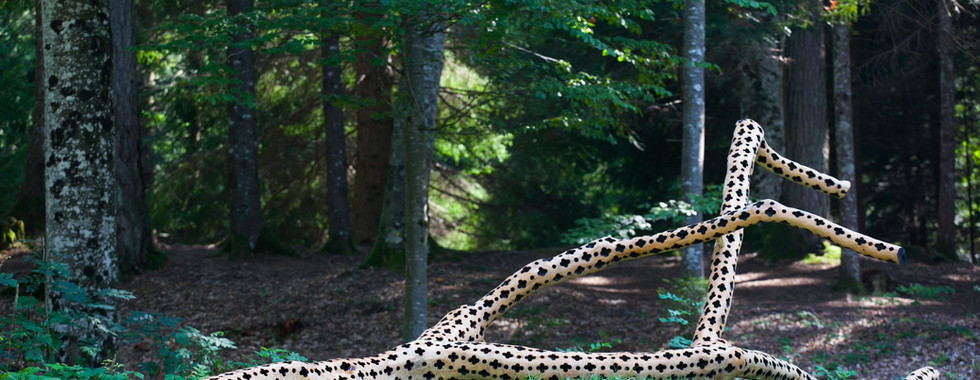 abstract forest art installation made by stuart ian frost of cut up tree in northern italy