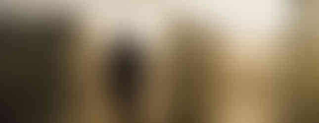 © Courtesy of Timeout Abu Dhabi showing a man in shadows walking through a cubic glass wall installation maze