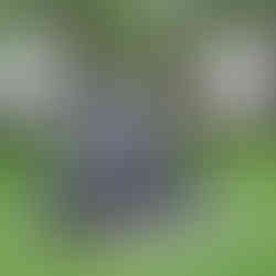 Lynn Chadwick's Couple on Seat sculpture showing unusual locations for public art in london London