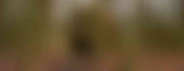 © Courtesy of Kielder art & architecture showing a large 3d head sculpture with its mouth open to the floor in the middle of a dense forest