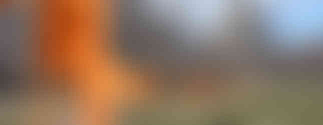 38. © Photo by Dennis Yang showing a line of orange draped flags hanging over a new york based park park