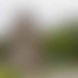 Pinocchio statue made of wood in Evian-les-Bains France / Photography A Small World