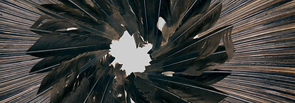 large felt, mixed-media artwork showing concentric circles with black feathers lining the inner circle