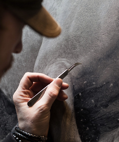 Mark Evans etching leather in the style of a realistic horse up close