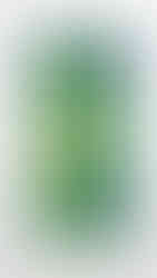 A sensual artwork in green, with a photograph/film poster like quality for art collectors to collect.