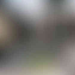 Artelier public art consultants curate a mirror garden in a sculpture park with gemotric forms reflecting the trees and casting shadows on the concrete.