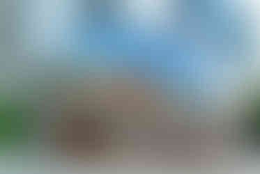 A closeup of 'Cloud Gate' by Anish Kapoor with the cityscape in sunset reflected on the large glass public artwork.