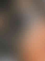 This contemporary artist is primed to invest in, with his sustainable artworks that depict wildlife animals using recycled cardboard.