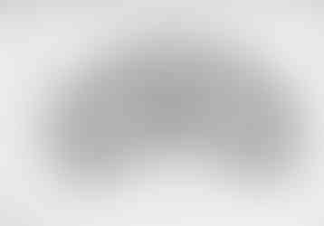 A preliminary drawing of cloud gate showing detailed design drawings for the soon to be famous public art.