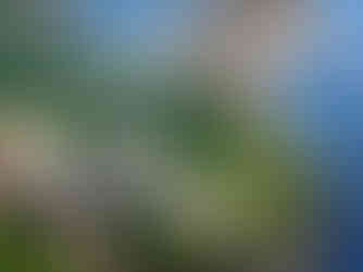 A fine art investment painting by emerging British artist Emilia Momen depicting gour young women swimming and relaxing, with one on the right preparing to dive off a cliff edge, another resting and the foreground two in conversation, one facing front, one facing back