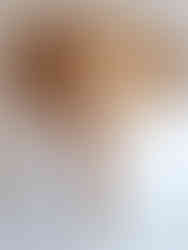 This artist uses recycled material to make this sustainable artwork of an elephant.