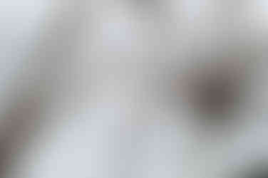 A close-up of Louise Bourgeois' 'Maman', showing the spindly steel legs up close against a grey sky.