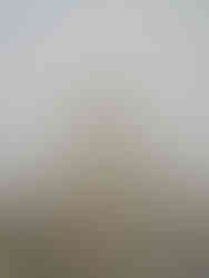 A contemporary sculpture using found art materials, including feathers and wood by a contemporary British artist.