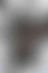 A close-up of Louise Bourgeois' 'Maman', showing the spindly steel body with metal netting, up close against a grey sky.