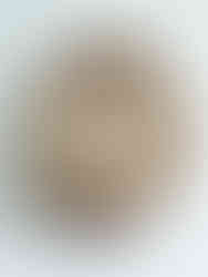 This social-media famous emerging British artist creates life-size cardboard animal sculptures suitable for a corporate art collection to localise art for global brands.