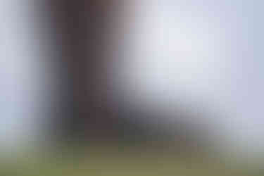 A metal foot as part of a monumental public artwork in the countryside.