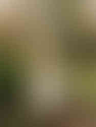 This minimalist art sculpture is a public artwork depicting a circular structure on a plinth.