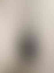 This sculpture is made using a 3D printer and sustainable art materials to make this a prime art investment piece.