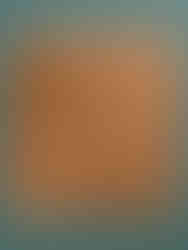 example of artwork collected by Dorothy and Herbert Vogel