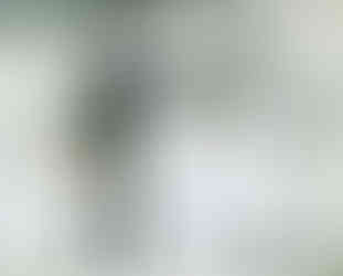 artwork in the private art collection by Niarchos family