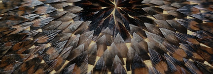 concentric circle artwork with feathers lining the middle.