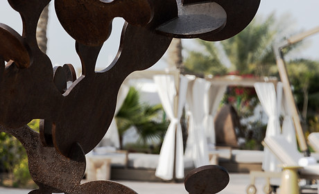 Metal abstract contemporary Plant Form photographed by Tooze Studio 