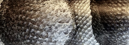 Screenshot%202020-11-30%20at%2010.21_edi