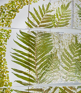 'Verdiculture' up close by Sasha Sykes Studio