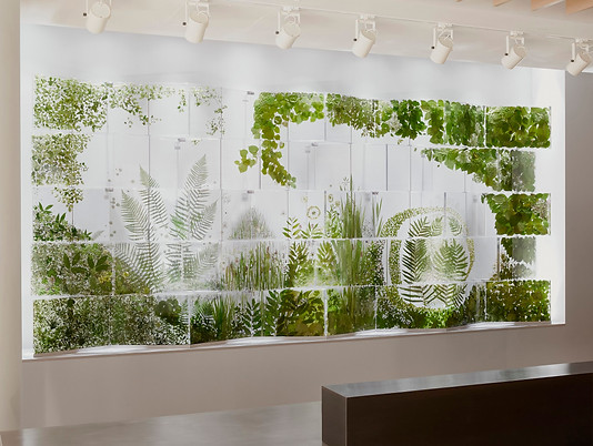 'Verdiculture' in situ in corporate office reception lobby area by Sasha Sykes Studio