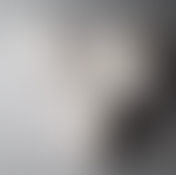 Contemporary wood art sculpture in plaster white, of various forms, shapes and sizes.