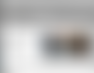 Example of 'My Art Collection' website Software