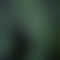 Daan Roosegaarde’s SPARK (2022) is a light installation composed of biodegradable luminous sparks that float in the air, offering a nonpolluting alternative to fireworks. Inspired by natural light sources, namely stars and fireflies, these environmentally friendly floatables are configured to evaporate the same night they are dispersed, illuminating the natural landscape of Wadi Hanifah through sustainable design and technology.  Visitors are invited to immerse themselves in this whimsical display of celebration, where noise and dust are markedly absent. Thousands of organic light materials perform a silent dance in a cloud formation, moved by the wind and shining in an array of colors. As individuals look up in collective wonder, the sparks also create room for private musings.  By reimagining community festivities, the artwork envisions an eco-friendly future where our traditions can be preserved in a novel way, inspiring reflections on our connection to ourselves, each other and nature.