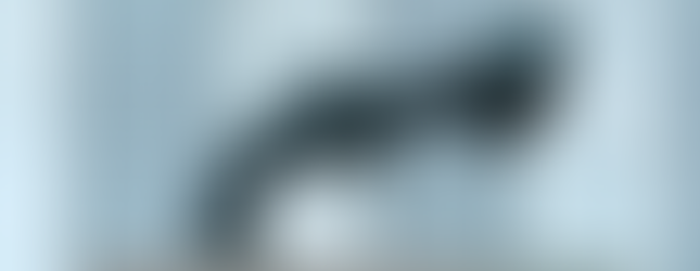 29. © Fredrik Reuterswärd