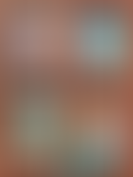 A close up of said imaged, includeing a lake, a bridge in red-brick drawing, and other similar nature-based graphic art cartoons.