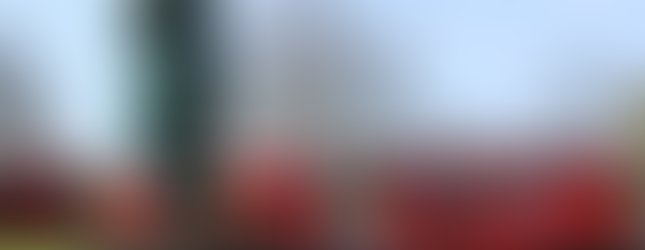 © Photo by Maggie Jones showing a huge horse head sculpture in London with three read london buses positioned behind it, to the right is a little girl in a red coat surrounded by pigeons