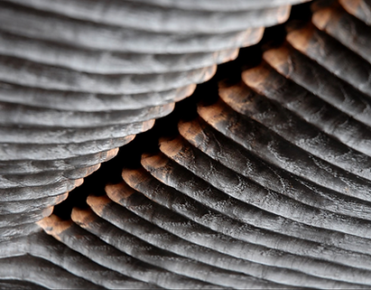 Benoit Averly shot of close up wooden sculpture 
