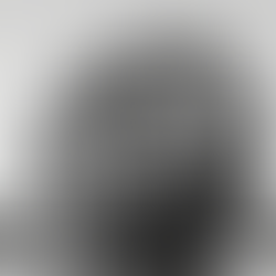 Artelier's public art management curated this stones culpture with circular biomorphic designs set ontop of a water bank