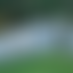 A stone dry wall with an arch at the centre of stacked stone to create an organic contemporary public art piece set against a forest.