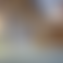 A unique public artwork commissioned for Manchester, using bright mural art set in alcoves in a church interior, commissioned and curated by artelier public art consultancy.